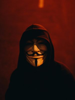 pexels-jaksonmartins-2230895